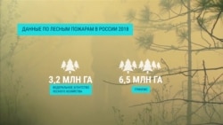 Как считают лесные пожары в России чиновники и экологи