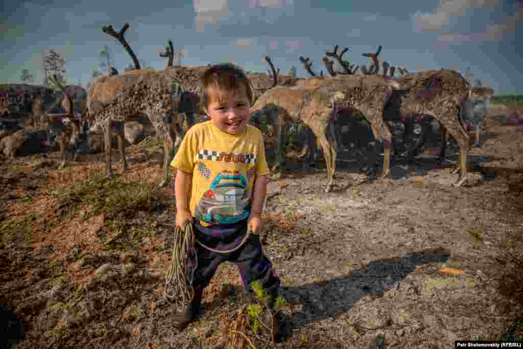 Четырехлетний Игорь позирует возле оленьего пастбища его семьи в Ямало-Ненецком автономном округе