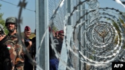 Венгерские военные и полицейские у металлического забора на границе с Сербией, возведенного с целью не допустить проникновения в страну мигрантов