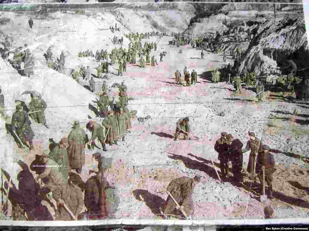 Советские военнопленные в овраге после расстрелов. Нацисты использовали Бабий Яр как место для казни советских военнопленных, цыган и других людей