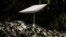UKRAINE – An antenna of the Starlink satellite-based broadband system donated by the US tech billionaire Elon Musk in Izyum, Kharkiv region, amid the Russian invasion of Ukraine, September 25, 2022