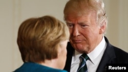17 марта в Белом Доме состоялась встреча президентов США и Германии Трампа и Меркель