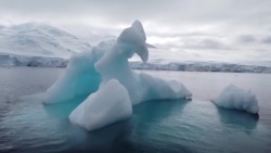 В Антарктике критично теплая зима: айсберги тают, пингвины вымирают