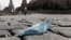 RUSSIA - A discarded protective face mask lies on the Red Square in Moscow, Russia, 04 August 2020.
