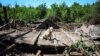 UKRAINE – A dog named Buddy is seen near his building destroyed by yesterday's Russian military strike where one local resident was killed and another wounded, amid Russia's invasion on Ukraine in the town of Kostiantynivka, in Donetsk region, 10Jun2022