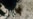 16x9 Image