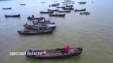 Рыбаки перекрыли дельту Дуная из-за квот по отлову сельди