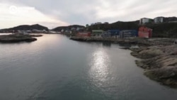 Трамп анонсировал пошлины для стран, не согласных с его политикой по Гренландии. Что об этом думают в Евросоюзе?