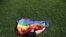 A woman with a rainbow flag lays on grass during the LGBT (lesbian, gay, bisexual, and transgender) community rally "VIII St.Petersburg Pride" in St. Petersburg, Russia August 12, 2017. REUTERS/Anton Vaganov