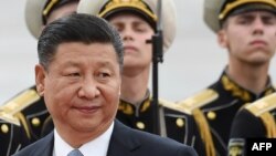 Председатель КНР Си Цзиньпин во Внуково. 3 июля 2017 года