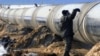 Москва предложила Астане газ с рекордной скидкой – если ей дадут построить газопровод в Китай по территории Казахстана