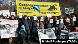 Протесты в Москве с требованием закрыть "китовую тюрьму" в феврале 2019 года 