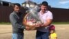 Мигранты из Таджикистана спасли девочку, на которую напал ротвейлер