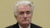 Трибунал в Гааге ужесточил приговор лидеру боснийских сербов Караджичу на пожизненный срок
