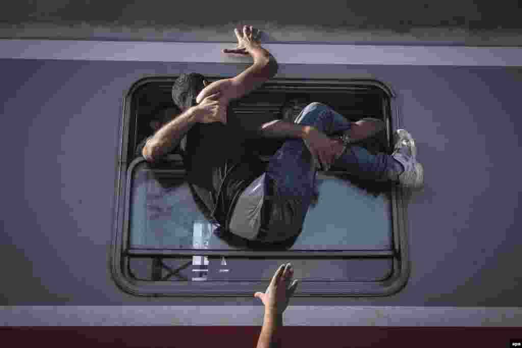 Первое место в категории &quot;Новости&quot;&ndash; у Сергея Пономарева, который снял для The New York Times момент, когда беженцы пытаются сесть на поезд в Загреб