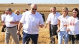 Александр Лукашенко инспектирует пшеничное поле, 2017 год