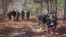 Детали: Boston Dynamics открывает продажи робота-пса