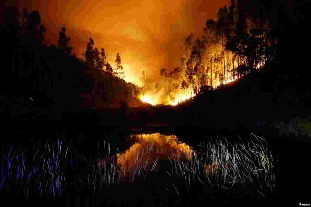 Из-за аномальной жары в четырех регионах Португалии в конце июня бушевали сильнейшие лесные пожары