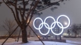 Олимпийские кольца в Пхёнчхане, 30 января 2018 года
