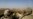 SYRIA -- U.S. troops look toward the border with Turkey from a small outpost near the town of Manbij, northern Syria, February 7, 2018