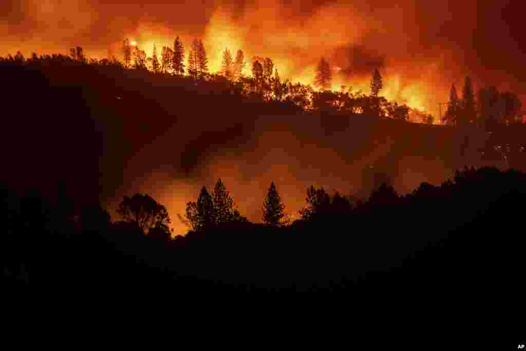 По его мнению, пожары случаются из-за нецелесообразного расходования выделенных средств и из-за того, что местные рейнджеры недостаточно хорошо охраняют лес