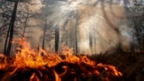 A wildfire in Russia
