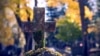 Международный скандал ко Дню Победы: "черные копатели" разрыли в Липецке кладбище немецких военнопленных