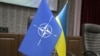Сейм Литвы принял резолюцию, где предлагается "полностью поддерживать" Украину и пригласить ее в НАТО