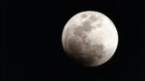 NASA организовало онлайн-тур по Луне
