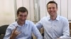 Европарламент: приговор Навальным - политический