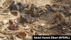 Массовая могила езидов — жертв "Исламского государства" в провинции Синджар, Ирак. В Синджаре до появления "ИГ" проживали езиды