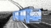 Троллейбус в Нарыне спасает от шакала