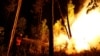 В Португалии от лесных пожаров погибли 62 человека, в стране трехдневный траур 