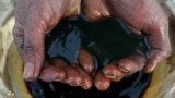 RUSSIA -- An employee demonstrates a sample of crude oil in the Yarakta Oil Field, owned by Irkutsk Oil Company (INK), in Irkutsk Region, Russia in this picture illustration taken March 11, 2019. 