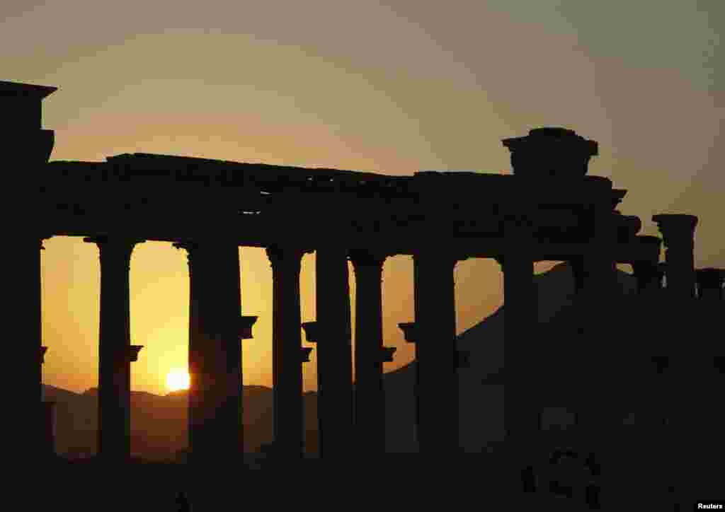 Закат в Пальмире - ноябрь 2010 года