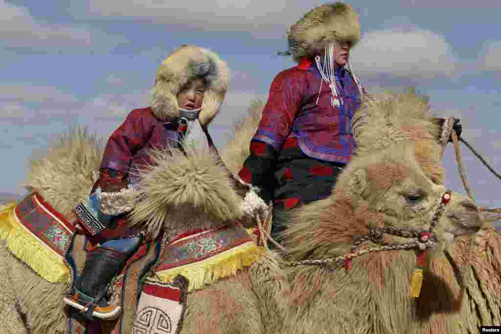 Скачки на верблюдах &ndash; один из популярных видов спорта в Монголии
