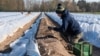 Сезонный рабочий на французской ферме, где выращивают спаржу