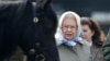 Британский королевский двор опубликовал официальную фотографию Елизаветы II к 90-летию
