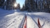 В Беларуси милиция задержала 19 лыжников и обвинила их в несанкционированном митинге в лесу 