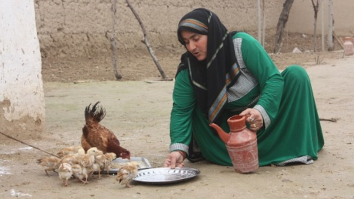 Узбекские банки прекратили выдавать кредиты под выращивание лимонов и ...