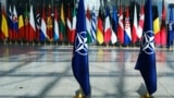 Востоковед рассказал, когда Швеция и Финляндия могут вступить в НАТО