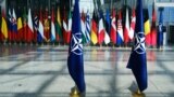 "В Кремле прекрасно понимают, что НАТО не угрожает России": Аркадий Островский из The Economist – о расширении Альянса на восток