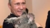 Владимир Путин досрочно покинул саммит G20 в Брисбене