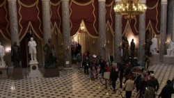 Протестующие идут по дорожке в Сенате