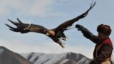 Kyrgyzstan -- A Kyrgyz berkutchi (eagle hunter) releases his bird, a golden eagle, during the hunting festival "Salburun" in the village of Alysh, March 13, 2016
