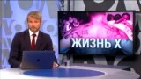 Итоги: как решить проблему массовых расстрелов в США