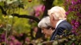 Настоящее Время. 26 мая