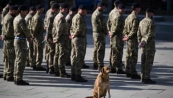 Какие страны планируют отправить в Украину миротворцев после окончания войны и сколько их может быть?