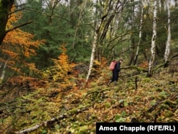 Кристек использует счетчик Гейгера для поиска радиоактивных минералов в Рудных горах Северной Богемии