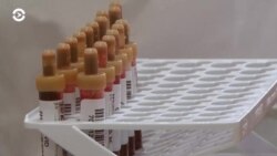 Новости. Коротко